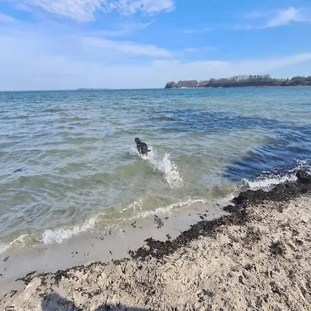 4 Star In Hejls-by Traum 펜션